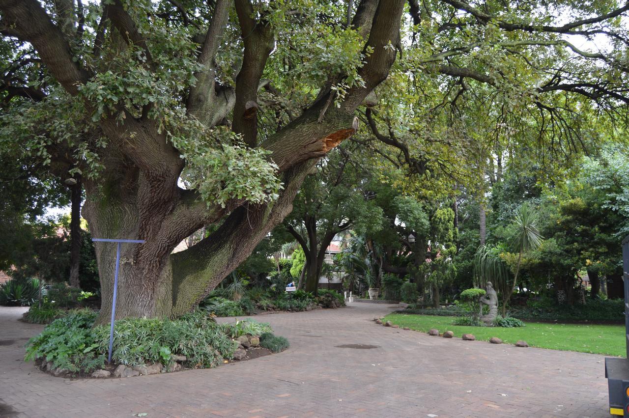 Airport Gardens Boutique Hotel Boksburg Dış mekan fotoğraf